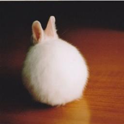 ほぼbotです　色々いいます