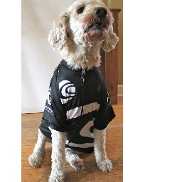 corestudio1's profile picture. C.O.R.E STUDIO is a place where compassion & integrity mingle with oxygenated molecules. A place that embraces health and fitness of the mind, body and spirit.