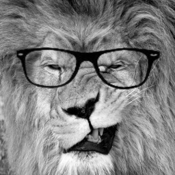 LionCalandra's profile picture. Journalist more about a gut check than a blue check. Word warrior.
Alum of ABC News,  Fox News, NY Daily News, WSJ, Crain’s NY and CJR