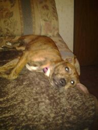 thegame43207's profile picture. 