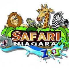 TheBasketProbs's profile picture. Serving one annoying tourist at a time