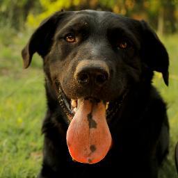 Hego73Gmez's profile picture. Director Paraísos del Turismo, ex jefe Programa Turismo Provincia de San Luis