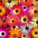 Dawn Marie Paris - @dawn_paris - Twitter