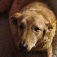 Frank J. Wilson (@fjwilson76) 's Twitter Profile