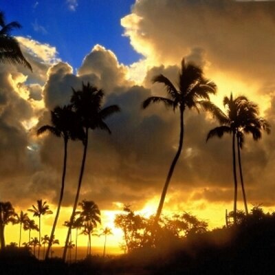 Alan Rigby (@alan_rigby) | Twitter