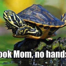 mikaapika's profile picture. We all need that one person in our lives who we can tell everything to and trust with our lives.Otherwise life becomes so lonely and painful.