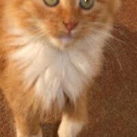 Ashley π (@gotbookcitement) 's Twitter Profile