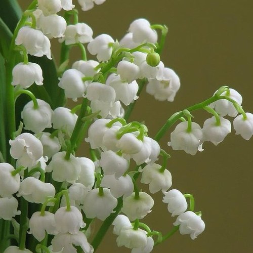 MiaNutri's profile picture. 