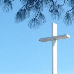 lifeunscripted's profile picture. 