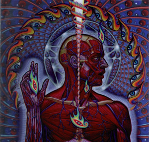 steptb's profile picture. Efficiency, Knowledge, Aesthetics.