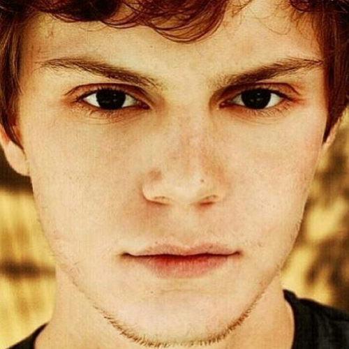 tatenoporao Profile Picture