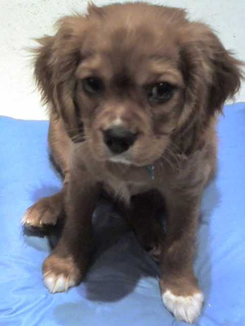 aputrino's profile picture. 