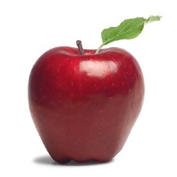 Committed to ending excessive use of standardized tests in NY State's public schools; advocating for proven, reliable methods for measuring student learning.