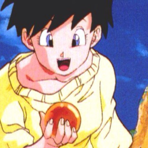 Hey there! Son Videl, daughter of the champ. Wife to @HeroicSonGohan and mother of Pan. Watch out because I can kick your butt. (DBZ/DBGT RP)