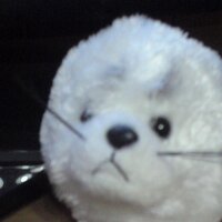 かたつむりん (@katastumurin) Twitter profile photo