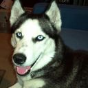 Darlene Bradshaw - @darlene0420 - Twitter