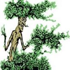 #TreeRepair #TreePruning, #TreeRemoval, #TreeCare, #ArborCare, #Arborist in #Dallas. Our #TreeDoctor  cares for all your #tree's needs! http://t.co/n6hXbxWJrx