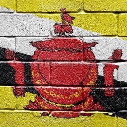 StartupBrunei's profile picture. Brunei Startup Eco System Enthusiast