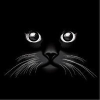 El gato de Paulov (@gatopaulov) 's Twitter Profile Photo