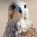 jerry  - @jerry_rea1 - Twitter