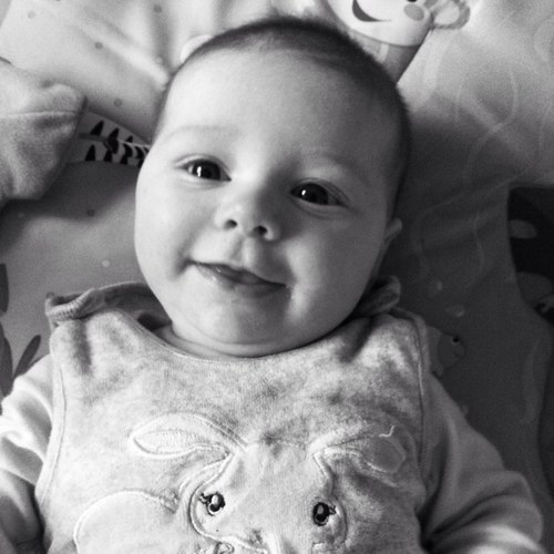 whittakerwonder's profile picture. 