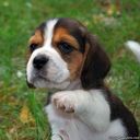 Jack Mckoy Valentine - @JV4fans - Twitter