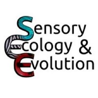 Martin Stevens (@sensoryecology) 's Twitter Profile
