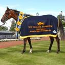 Tim Cameron - @camtim - Twitter