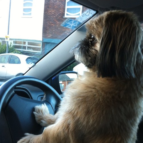 PamBrackley's profile picture. 