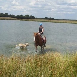 SuletteBruwer's profile picture. 