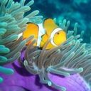 victorgrigorescu - @VictorGrig - Twitter