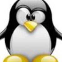 XoanDios's profile picture. EX patrón de pesca de altura,