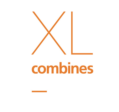 XLcombines's profile picture. 