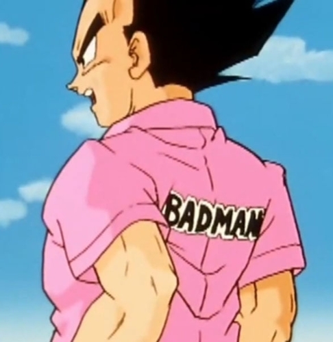 VegetaWearsPink's profile picture. i aint no bitch