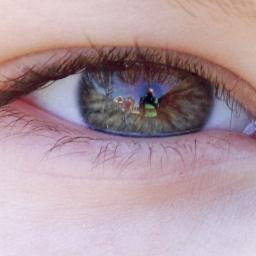 BobWieggers's profile picture. 