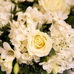 Cityweddingssbf's profile picture. St Bride Foundation is a  perfect venue for weddings in the City of London.  From thegrandeur of the Bridewell Hall to the sumptuous Salisbury room.