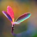 Alice York - @AliceYork15 - Twitter