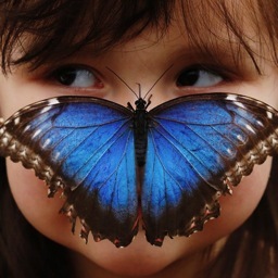 dinglelibrary's profile picture. 