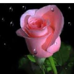 reading, writing, have been my hobbies of all time. so here on twitter to read some interesting facts