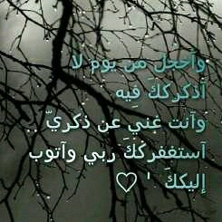 assassass778's profile picture. 