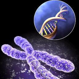 genentics's profile picture. Open Access Journal | Herbert Publications |