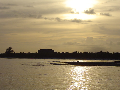 soniamape's profile picture. 