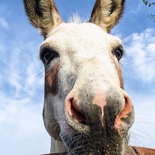 hjmoon2 Profile Picture