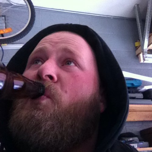 articcat12's profile picture. 