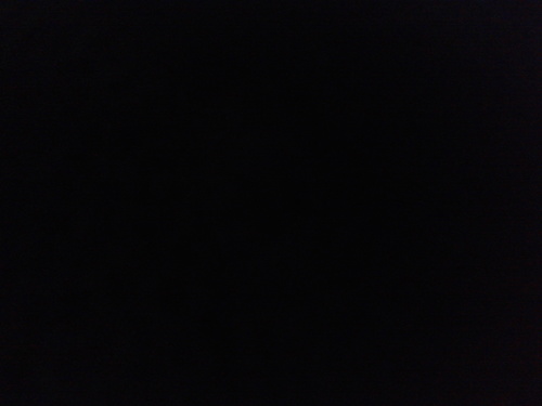 Levymfc Profile Picture