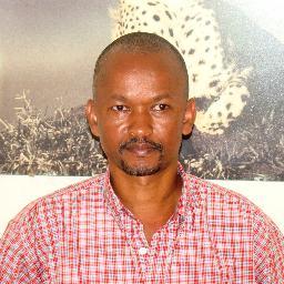 KisMbondo's profile picture. 