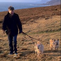 Brian H (@hewsonbrian) 's Twitter Profile
