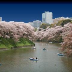 app58242690's profile picture. アイフォンアプリの開発やってます。
アプリのことについてつぶやきます～相互フォロー希望なのでよろしくおねがいします。#sougofollow #followback #mustf #follow #followme #followmejp