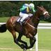 tatty's racing tips (@mick_tatlock) Twitter profile photo tatty's racing tips (@mick_tatlock) Twitter profile photo