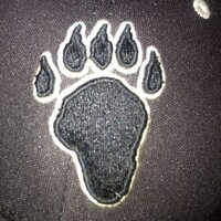 Lake Forest College Softball (@lfcollegesb) 's Twitter Profile